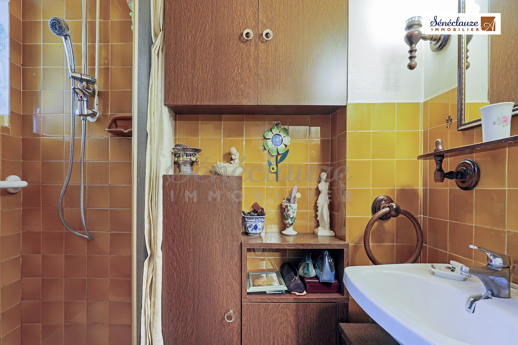 APPARTEMENT T2 EN PLEIN COEUR DE LYON 9EME